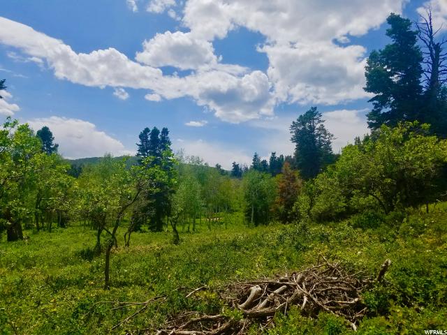 1293 Maple Pl #I-16, Wanship, UT 84017 — photo 3