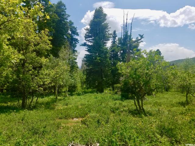 1293 Maple Pl #I-16, Wanship, UT 84017 — photo 4