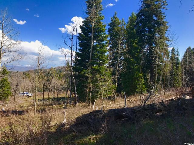 1293 Maple Pl #I-16, Wanship, UT 84017 — photo 12
