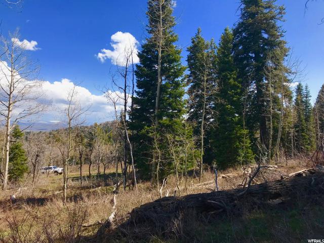 1293 Maple Pl #I-16, Wanship, UT 84017 — photo 9
