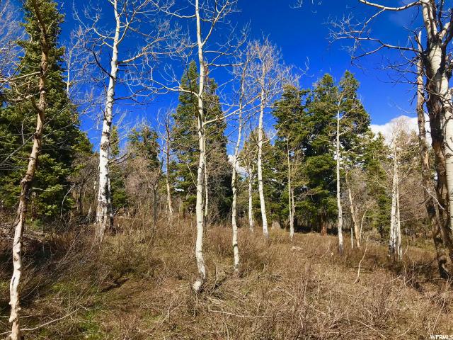 1267 Maple Pl #I-15, Wanship, UT 84017 — photo 10