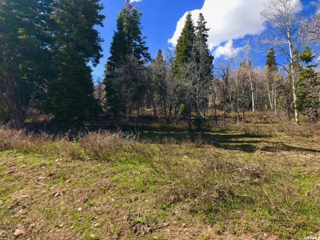 1267 Maple Pl #I-15, Wanship, UT 84017 — photo 12