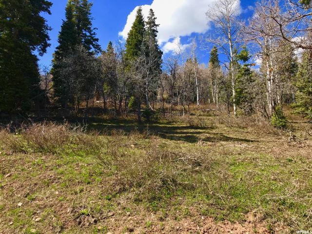 1267 Maple Pl #I-15, Wanship, UT 84017 — photo 11
