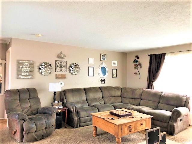 784 E 5th St S, Ogden, UT 84404 — photo 8