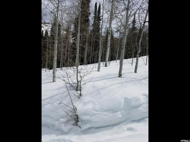 738 Shingle Mill Rd #738, Oakley, UT 84055 — photo 11