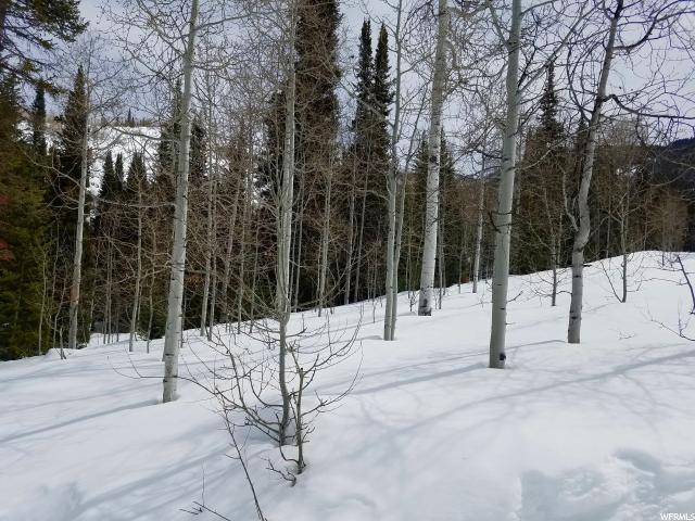 738 Shingle Mill Rd #738, Oakley, UT 84055 — photo 12
