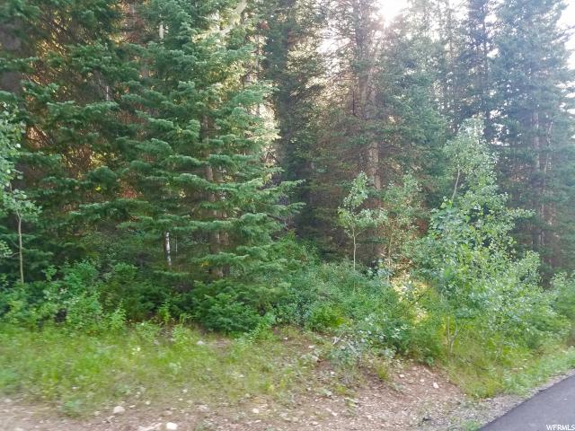 738 Shingle Mill Rd #738, Oakley, UT 84055 — photo 2