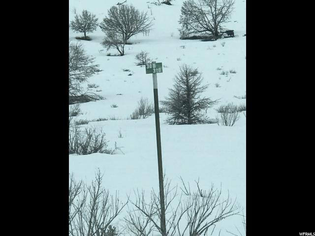 #310, Indianola, UT 84629 — photo 6