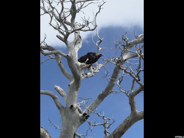 #310, Indianola, UT 84629 — photo 7