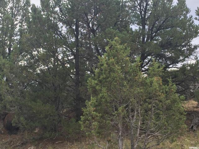 N #7, Fruitland, UT 84027 — photo 10