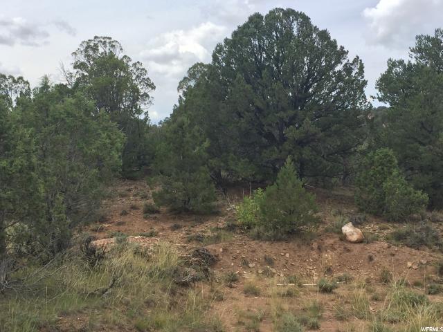 N #7, Fruitland, UT 84027 — photo 9