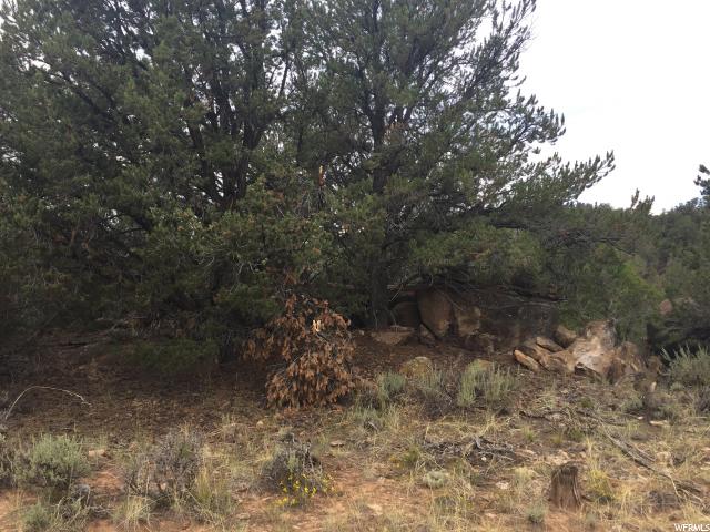 N #7, Fruitland, UT 84027 — photo 3