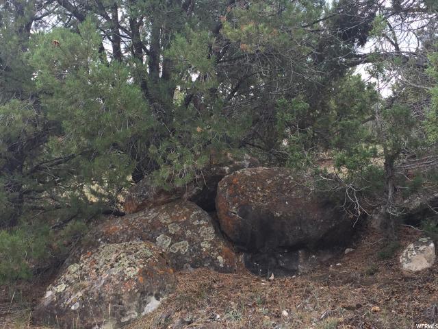 N #7, Fruitland, UT 84027 — photo 12