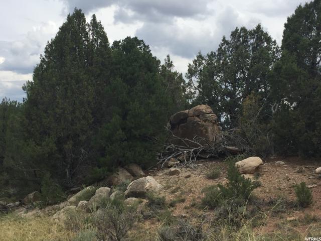 N #7, Fruitland, UT 84027 — photo 11