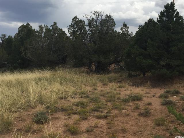 N #7, Fruitland, UT 84027 — photo 8