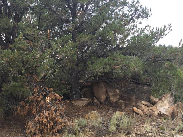 N #7, Fruitland, UT 84027 — photo 4