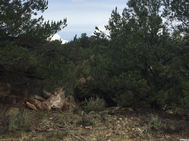 N #7, Fruitland, UT 84027 — photo 5