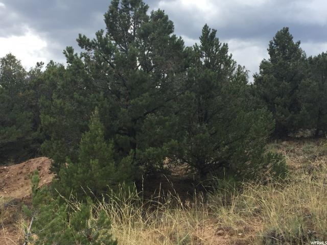 N #7, Fruitland, UT 84027 — photo 7