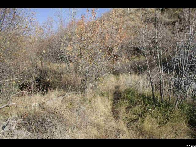 Harkness Cyn, McCammon, ID 83250 — photo 10