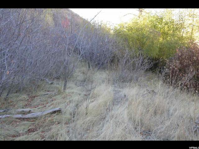 Harkness Cyn, McCammon, ID 83250 — photo 11