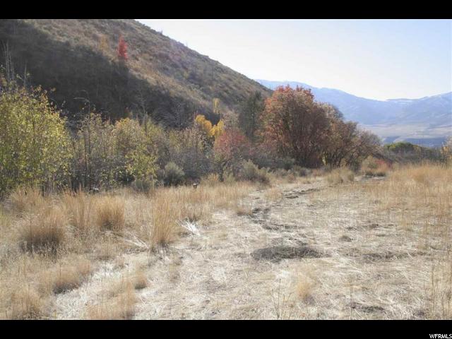 Harkness Cyn, McCammon, ID 83250 — photo 8