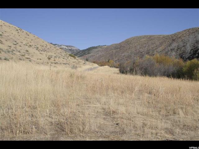Harkness Cyn, McCammon, ID 83250 — photo 5