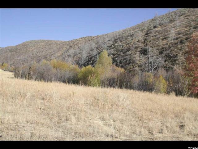 Harkness Cyn, McCammon, ID 83250 — photo 7