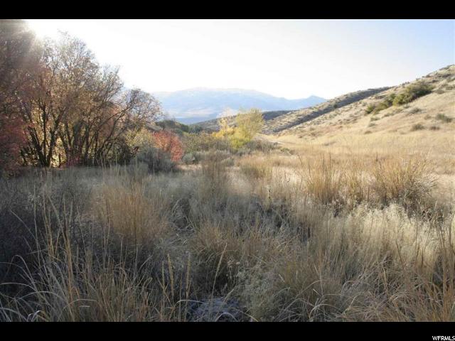 Harkness Cyn, McCammon, ID 83250 — photo 6