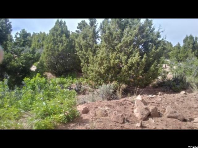 #261, Fruitland, UT 84027 — photo 8