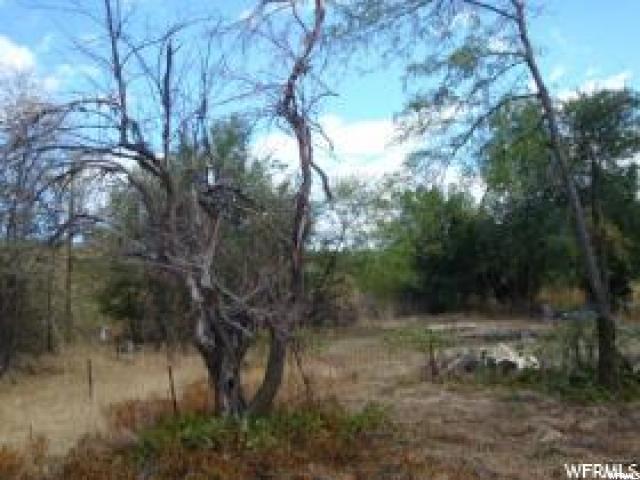 5878 S 1900 W, Roy, UT 84067 — photo 10