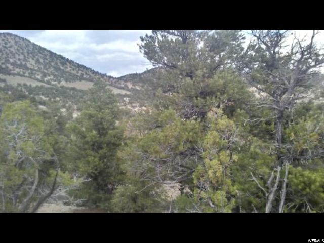 #14, Fruitland, UT 84027 — photo 8