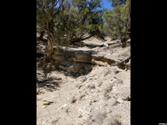 #14, Fruitland, UT 84027 — photo 3