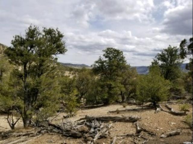 #14, Fruitland, UT 84027 — photo 6