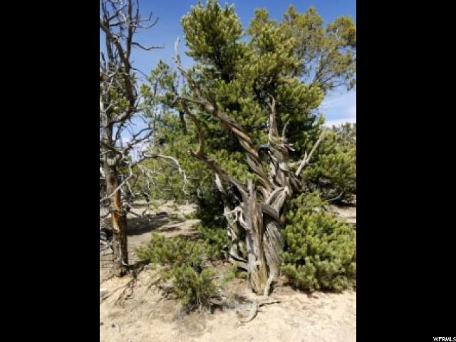 #14, Fruitland, UT 84027 — photo 4