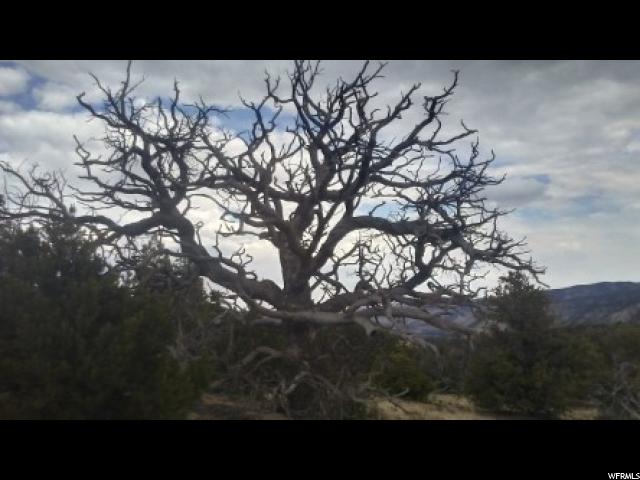 #14, Fruitland, UT 84027 — photo 9