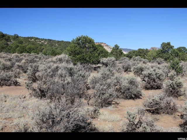 1650 S Donkey Flats Rd E, Teasdale, UT 84773 — photo 6