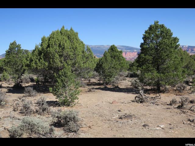 1650 S Donkey Flats Rd E, Teasdale, UT 84773 — photo 2