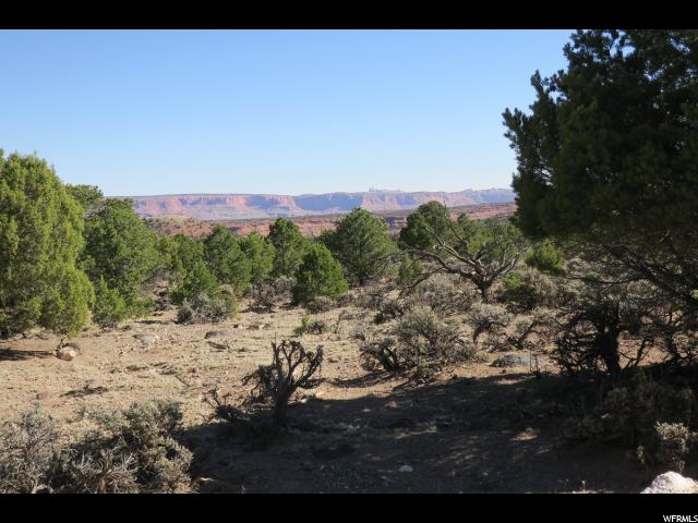 1650 S Donkey Flats Rd E, Teasdale, UT 84773 — photo 3