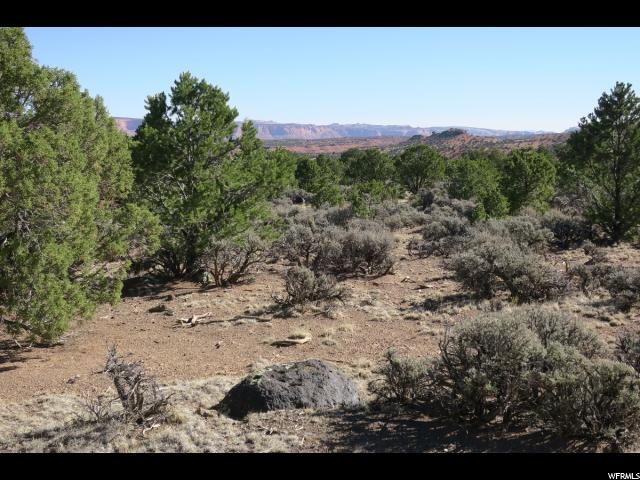 1650 S Donkey Flats Rd E, Teasdale, UT 84773 — photo 5