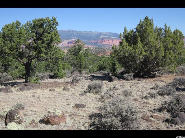 1650 S Donkey Flats Rd E, Teasdale, UT 84773 — photo 4