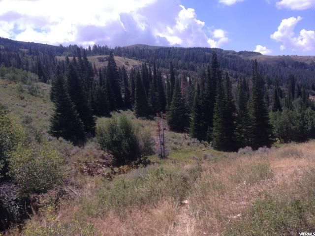 6 Sawtooth Mts, Park Valley, UT 84329 — photo 6