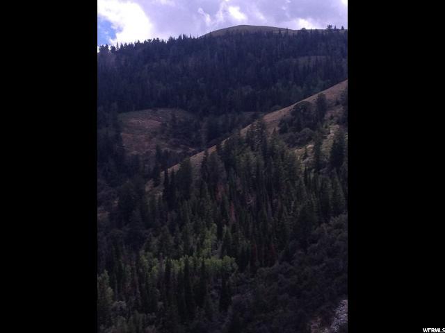6 Sawtooth Mts, Park Valley, UT 84329 — photo 11