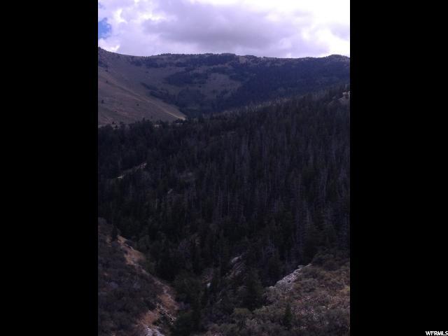 6 Sawtooth Mts, Park Valley, UT 84329 — photo 10