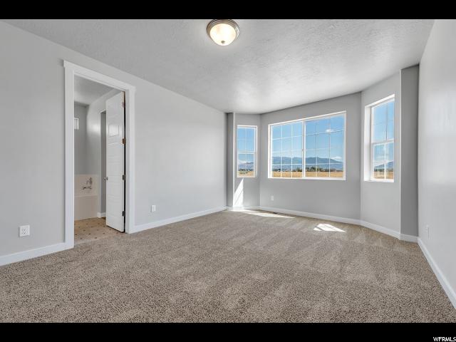 2452 N Sarus Crane Dr, Clinton, UT 84015 — photo 10