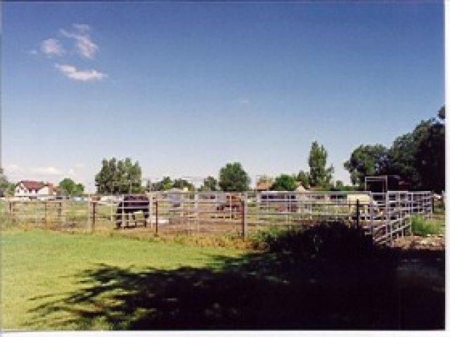 12154 S 700 E, Draper, UT 84020 — photo 8
