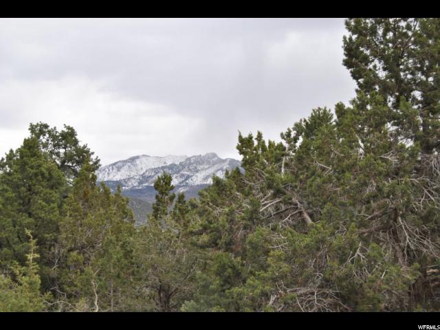 762 E Cottontail Rd #58, Central, UT 84722 — photo 9