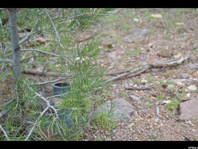762 E Cottontail Rd #58, Central, UT 84722 — photo 10