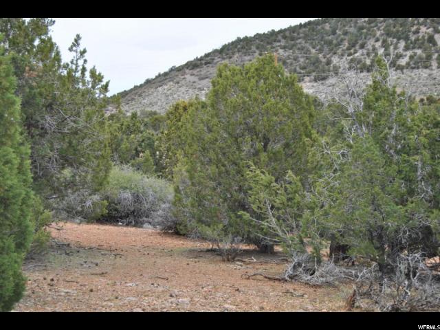 762 E Cottontail Rd #58, Central, UT 84722 — photo 8