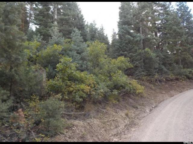 #105A, Mt Pleasant, UT 84647 — photo 2