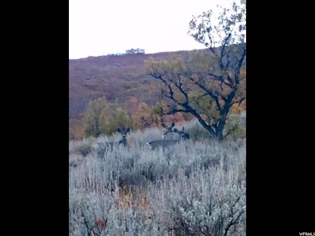 #116, Huntsville, UT 84317 — photo 3